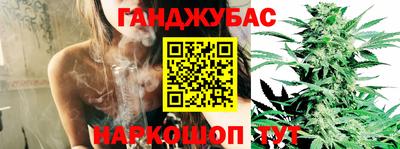 тгк Гусев
