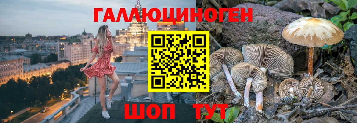 Карталы  Галлюциногенные грибы ЛСД  Вход с VPN  Псилоцибиновые грибы прущие грибы 